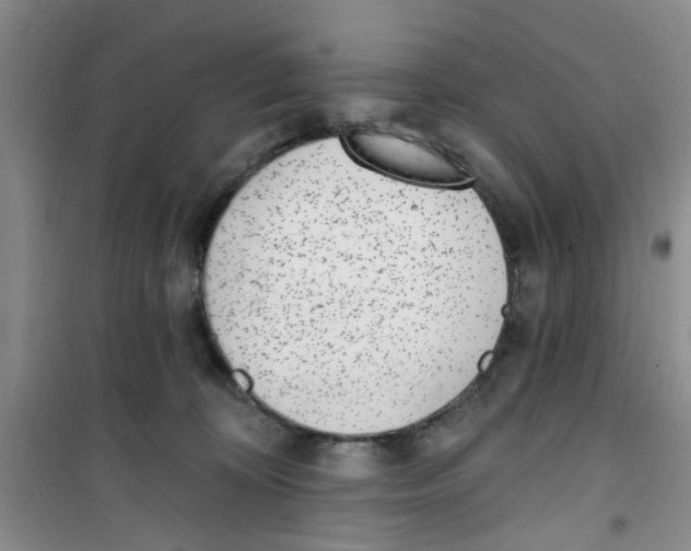 X0000100960324200807221151