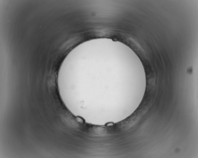 X0000100960325200807221151