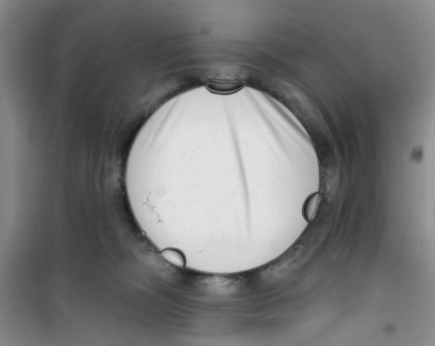 X0000100960326200807221151