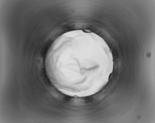 X0000100960327200807221151