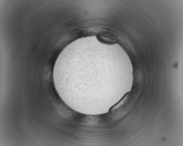 X0000100960328200807221151