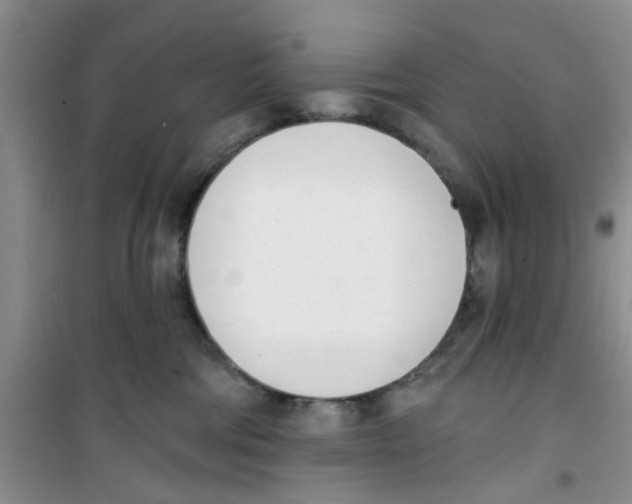 X0000100960330200807221151