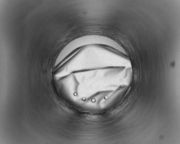 X0000100960332200807221151