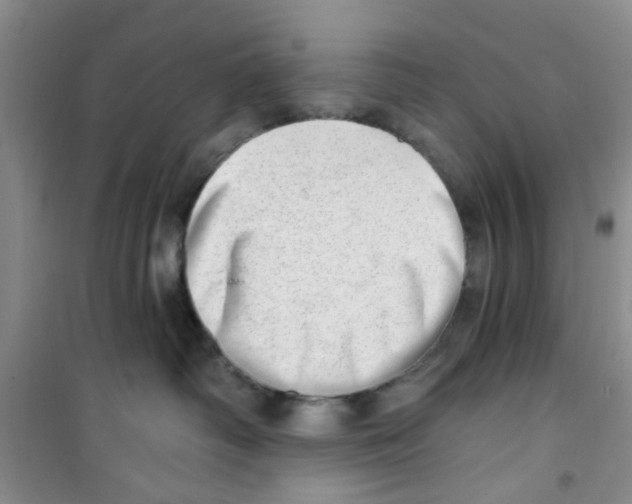 X0000100960334200807221151