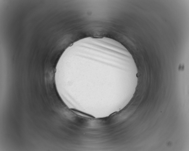 X0000100960336200807221151