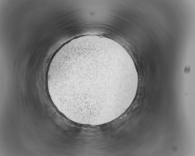 X0000100960337200807221150