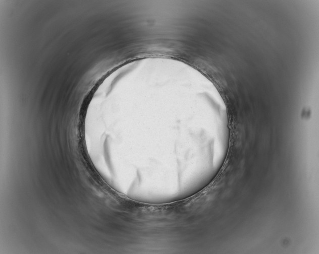 X0000100960338200807221150