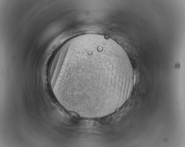 X0000100960339200807221150