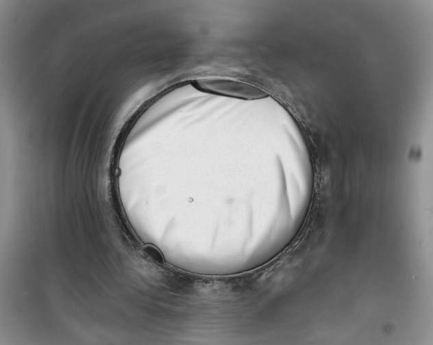 X0000100960340200807221150