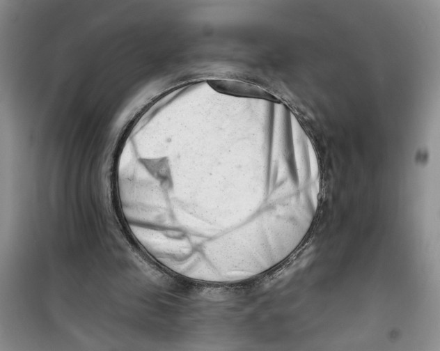 X0000100960341200807221150