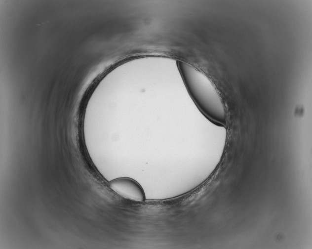 X0000100960342200807221150