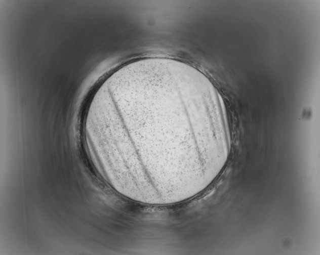 X0000100960343200807221150