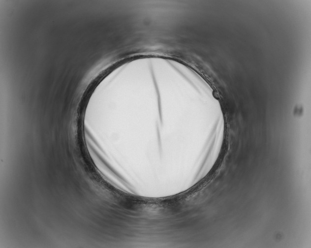 X0000100960344200807221150