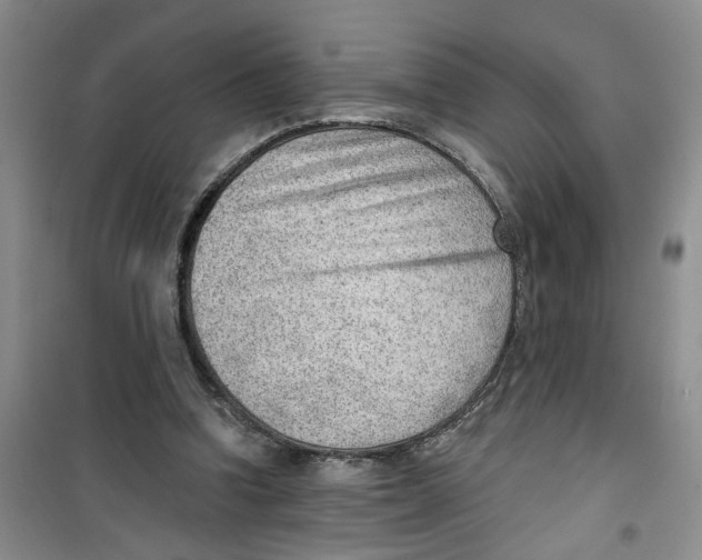 X0000100960346200807221150