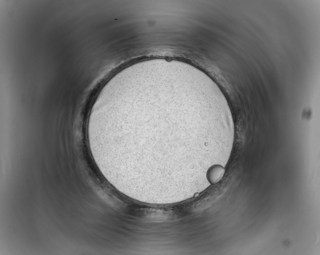 X0000100960347200807221150