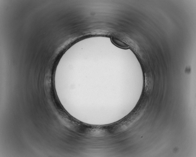 X0000100960348200807221150