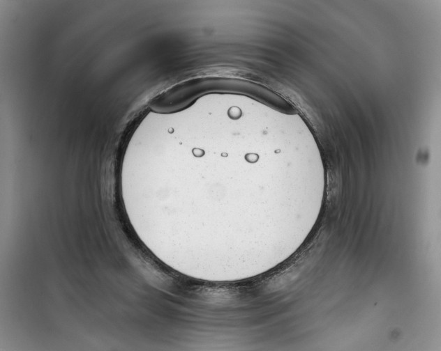 X0000100960349200807221150