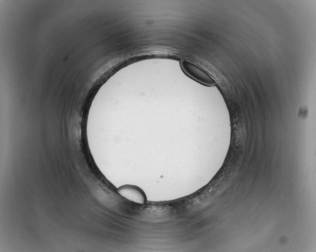 X0000100960350200807221150