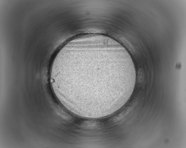 X0000100960351200807221150