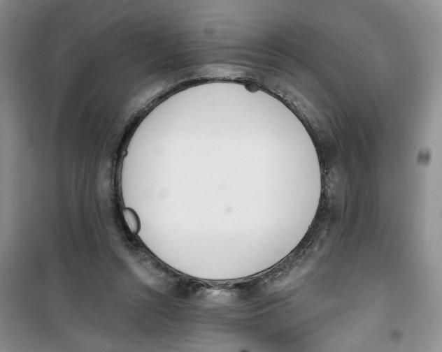 X0000100960352200807221150