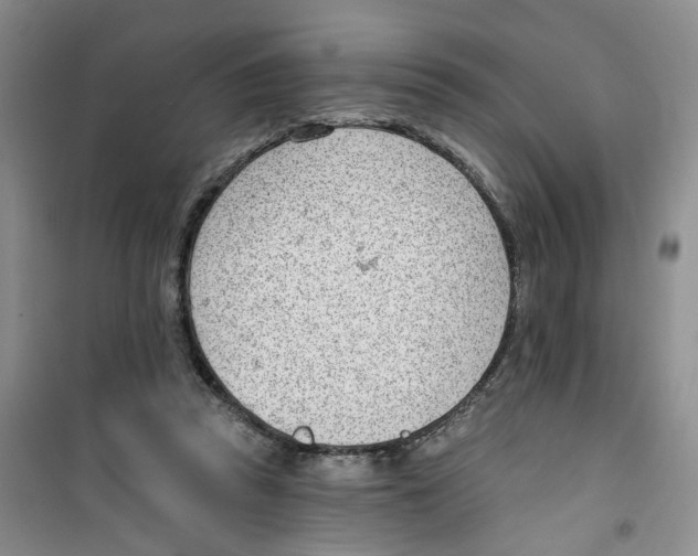 X0000100960353200807221150