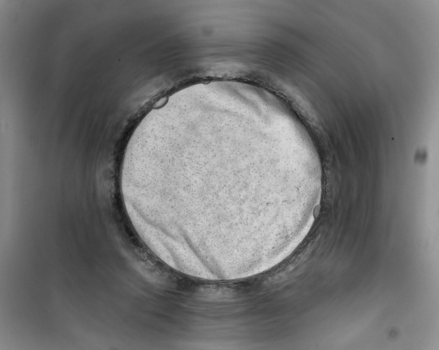 X0000100960354200807221150