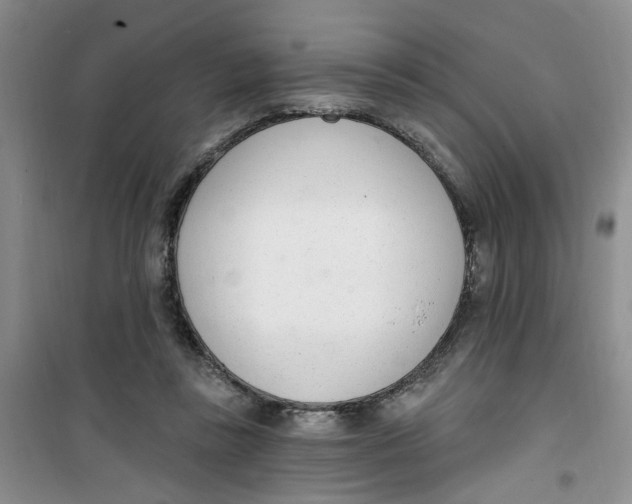 X0000100960355200807221150