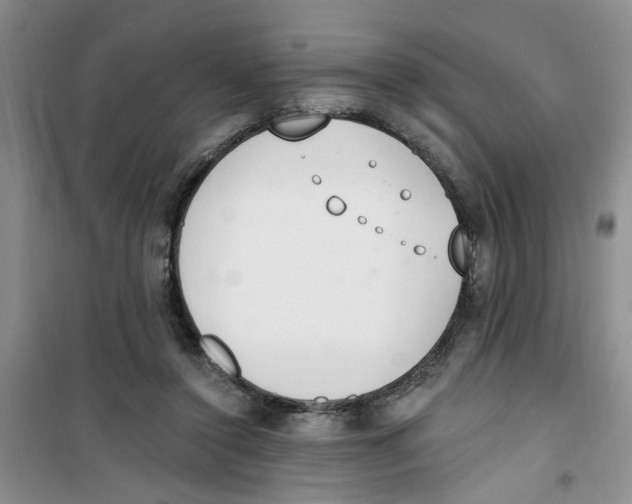 X0000100960356200807221150