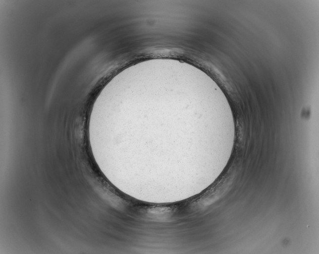 X0000100960357200807221150