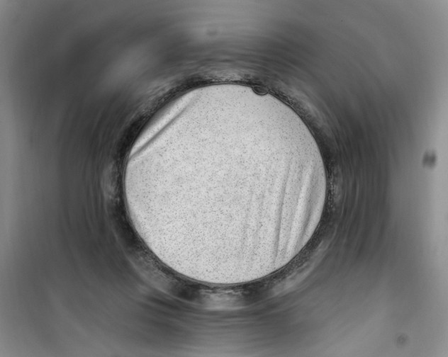 X0000100960359200807221151