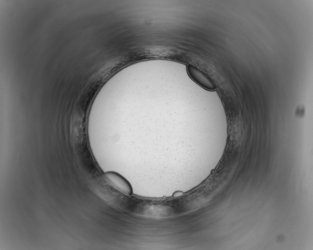 X0000100960360200807221151