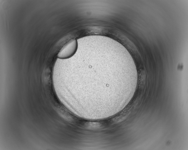 X0000100960361200807221151