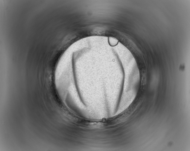 X0000100960363200807221151