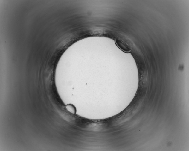 X0000100960364200807221151