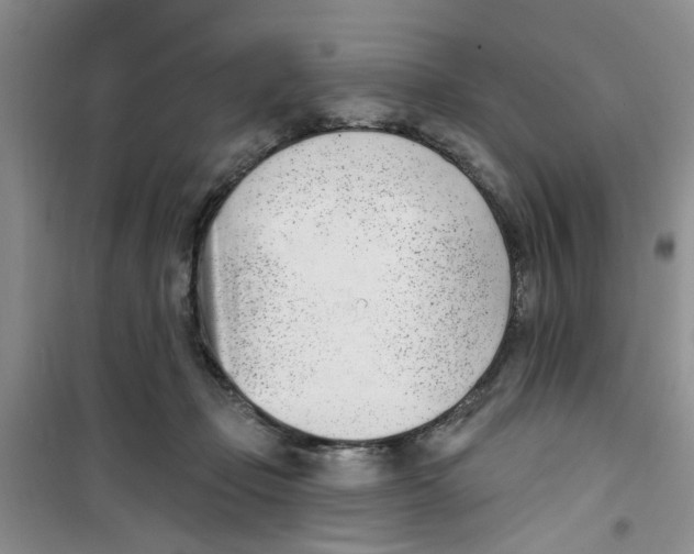 X0000100960365200807221151