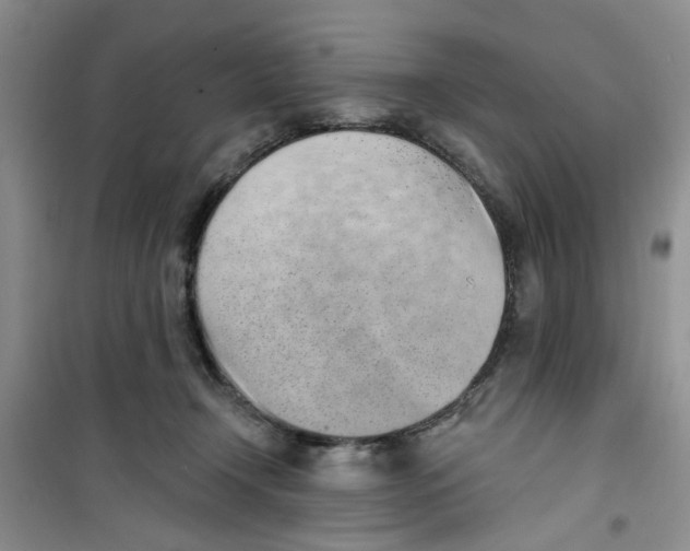 X0000100960366200807221151