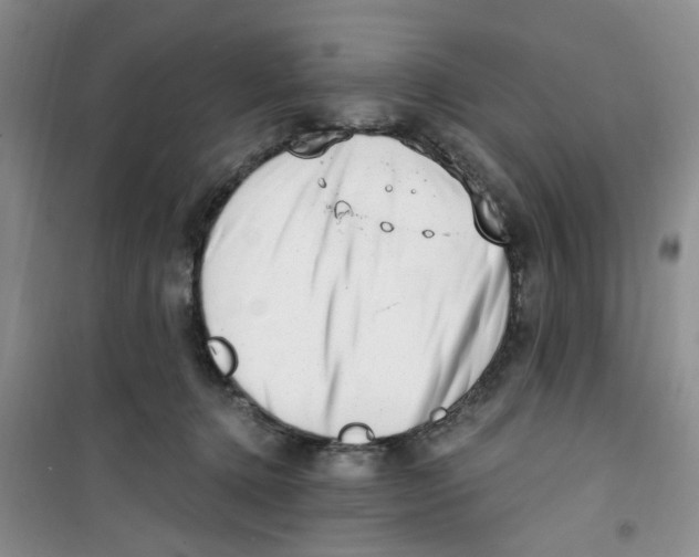 X0000100960368200807221151