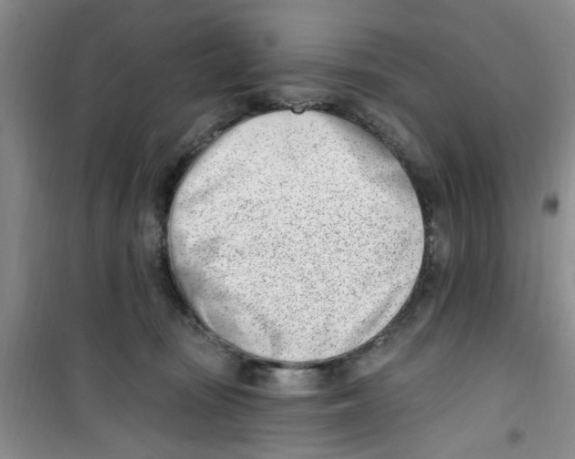 X0000100960371200807221151