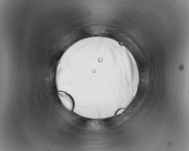 X0000100960372200807221151