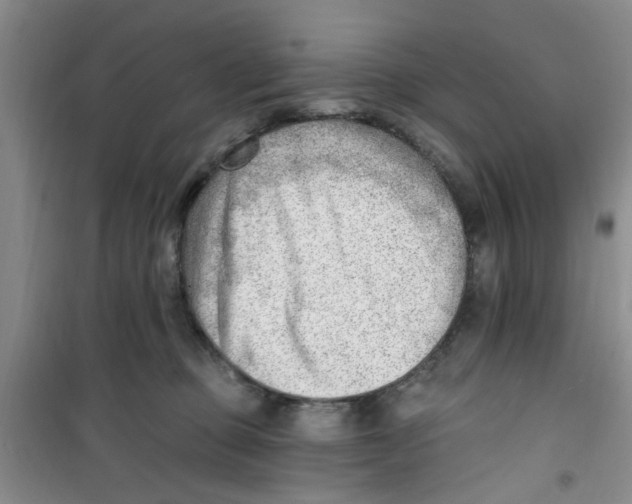 X0000100960373200807221151