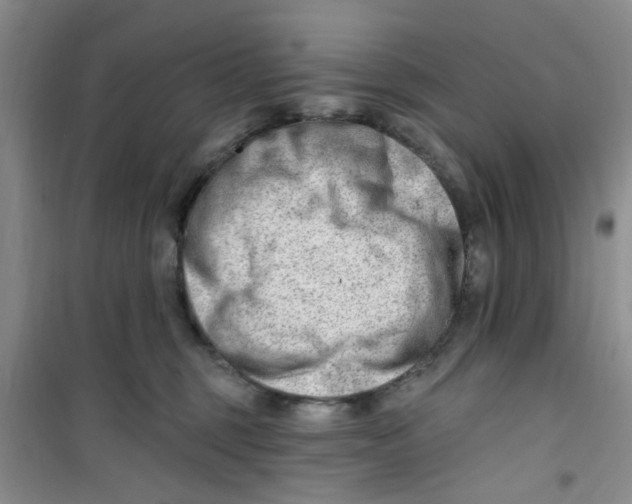 X0000100960375200807221151