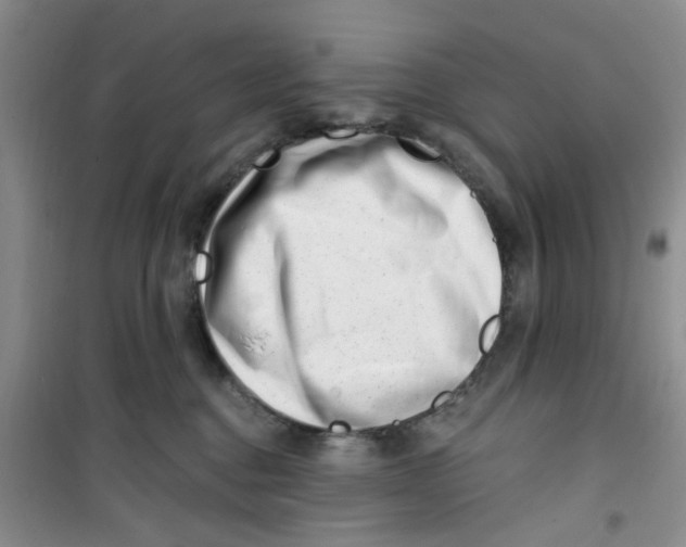 X0000100960376200807221151