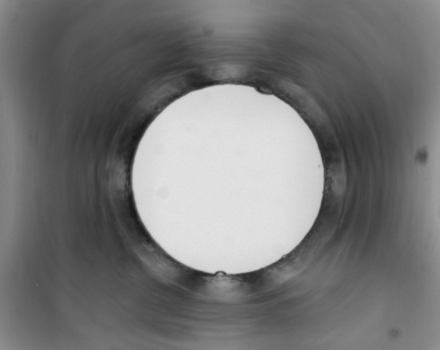 X0000100960380200807221151