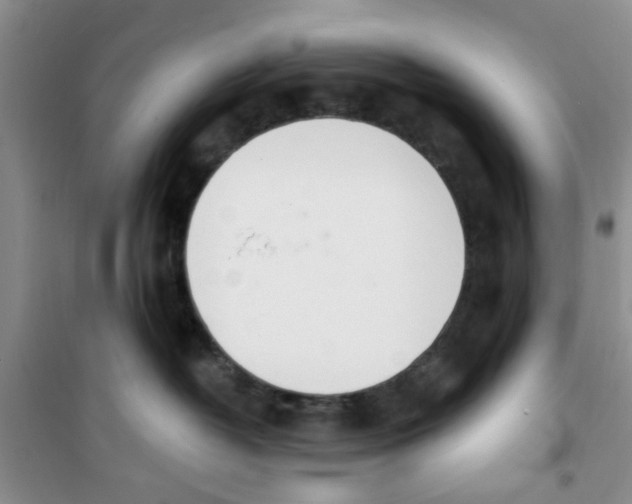 X0000100960382200807221151