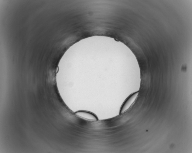 X0000100960383200807221151