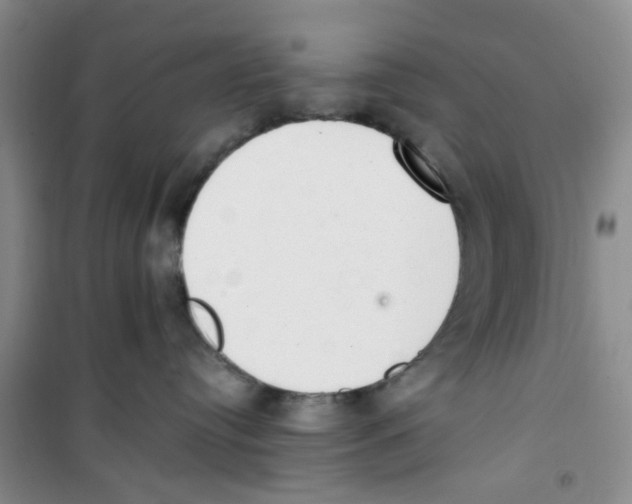 X0000100960384200807221151