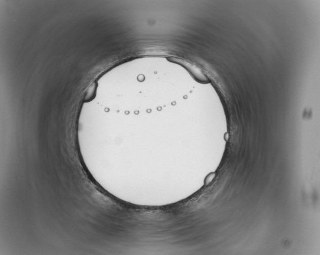 X0000100960385200807221150