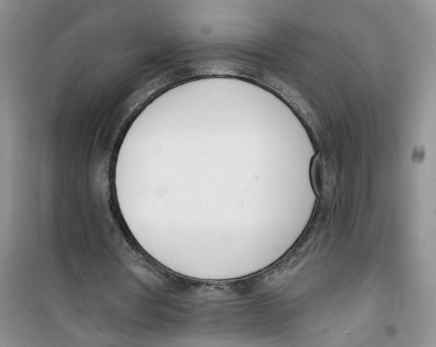 X0000100960386200807221150