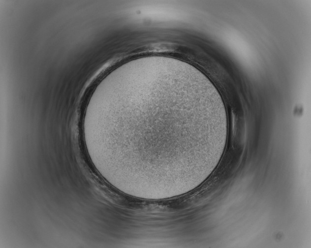 X0000100960387200807221150