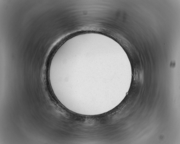 X0000100960388200807221150